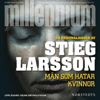 Män som hatar kvinnor - Stieg Larsson