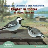 Fåglar vi möter på väg mot stranden - Bengt Emil Johnson, Sten Wahlström