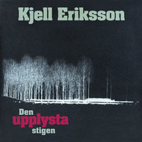 Den upplysta stigen - Kjell Eriksson