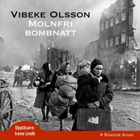 Molnfri bombnatt - Vibeke Olsson