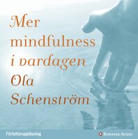 Mer mindfulness i vardagen - Ola Schenström