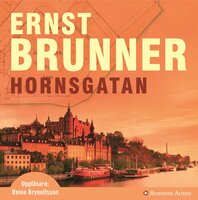 Hornsgatan - Ernst Brunner