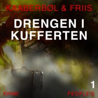 Drengen i kufferten - Agnete Friis, Lene Kaaberbøl