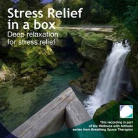 Stress relief in a box - Annie Lawler