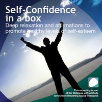 Self Confidence in a box - Annie Lawler