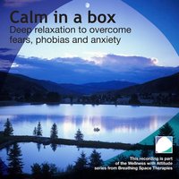 Calm in a box - Annie Lawler