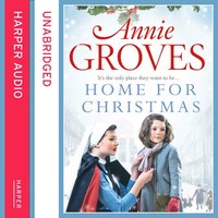 Home for Christmas - Annie Groves