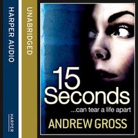 15 Seconds - Andrew Gross