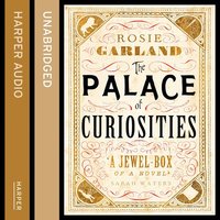 The Palace of Curiosities - Rosie Garland