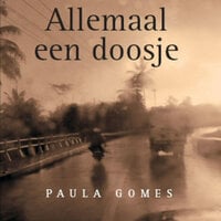 Allemaal een doosje - Paula Gomes
