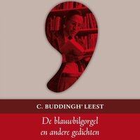De Blauwbilgorgel en andere gedichten - C. Buddingh'