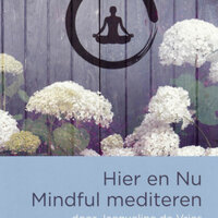 Hier en Nu Mindful mediteren - Jacqueline de Vries