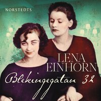 Blekingegatan 32 - Lena Einhorn