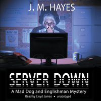 Server Down - J.M. Hayes