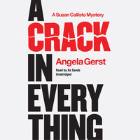 A Crack in Everything: A Susan Callisto Mystery - Angela Gerst