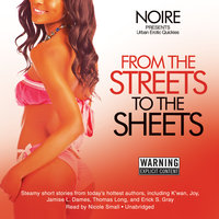From the Streets to the Sheets: Urban Erotic Quickies - Noire