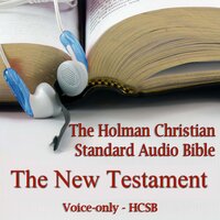 The New Testament of the Holman Christian Standard Audio Bible - Made for Success