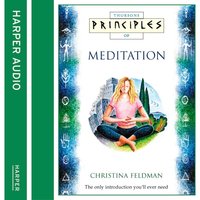 Meditation: The Only Introduction You’ll Ever Need - Christina Feldman
