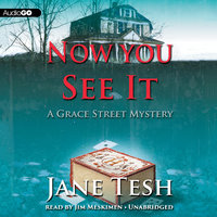 Now You See It: A Grace Street Mystery - Jane Tesh