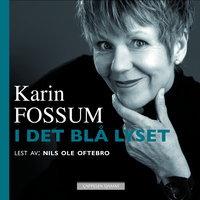 I det blå lyset - Karin Fossum
