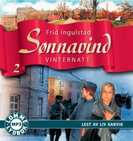 Sønnavind 2: Vinternatt - Frid Ingulstad