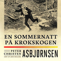 En sommernatt på Krokskogen - Peter Christen Asbjørnsen