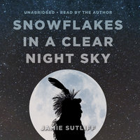 Snowflakes in a Clear Night Sky - Jamie Sutliff