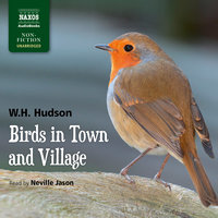 Birds in Town and Village - W.H. Hudson
