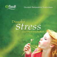 Eflexx Awareness Meditation - Mike Angulo