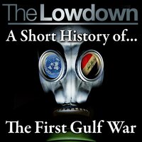 The Lowdown: A Short History of the First Gulf War - Robert Johnson