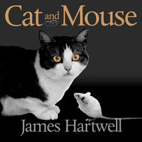 Cat and Mouse: Book of Persian Fairy Tales - James Hartwell