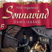 Sønnavind 13: Familiebånd - Frid Ingulstad