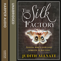The Silk Factory - Judith Allnatt