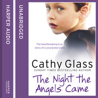 The Night the Angels Came - Cathy Glass
