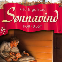 Sønnavind 37: Forfulgt - Frid Ingulstad