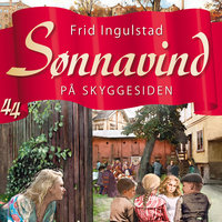 Sønnavind 44: På skyggesiden - Frid Ingulstad