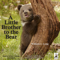 A Little Brother to the Bear, and Other Animal Stories - William J. Long