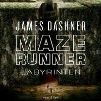 Maze Runner - Labyrinten: Maze Runner 1 - James Dashner