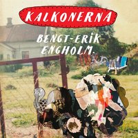 Kalkonerna - Bengt-Erik Engholm