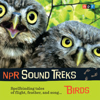 NPR Sound Treks: Birds: Spellbinding Tales of Flight, Feather, and Song - NPR