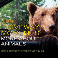 NPR Driveway Moments: More about Animals: Radio Stories That Won't Let You Go - Christopher Joyce