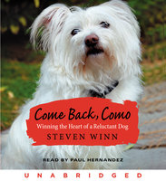 Come Back, Como - Steven Winn