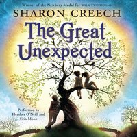 The Great Unexpected - Sharon Creech