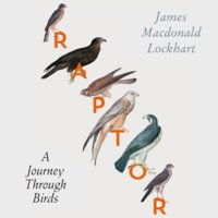 Raptor: A Journey Through Birds - James Macdonald Lockhart