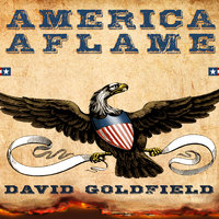 America Aflame: How the Civil War Created a Nation - David Goldfield