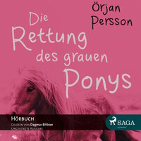 Die Rettung des grauen Ponys (Ungekürzt) - Örjan Persson