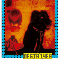 Destroyer - Lars Ramslie