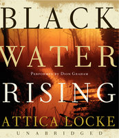 Black Water Rising - Attica Locke