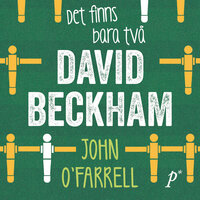 Det finns bara två David Beckham - John O'Farrell