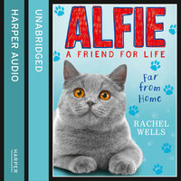 Alfie Far From Home - Rachel Wells